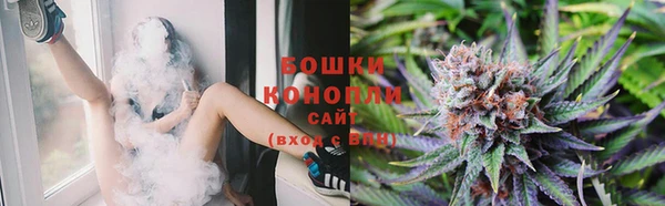 шишки Балахна