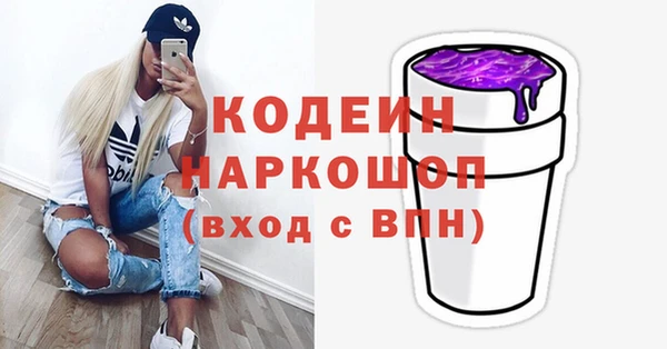 шишки Балахна