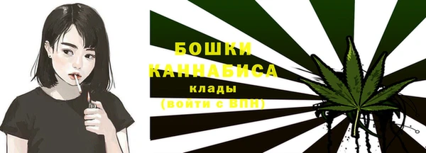 шишки Балахна