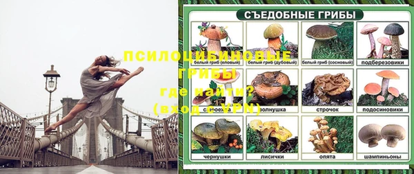 соль ск Балабаново