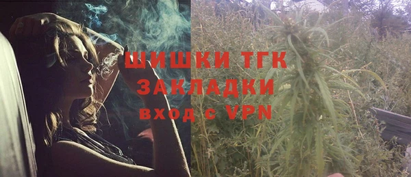 шишки Балахна